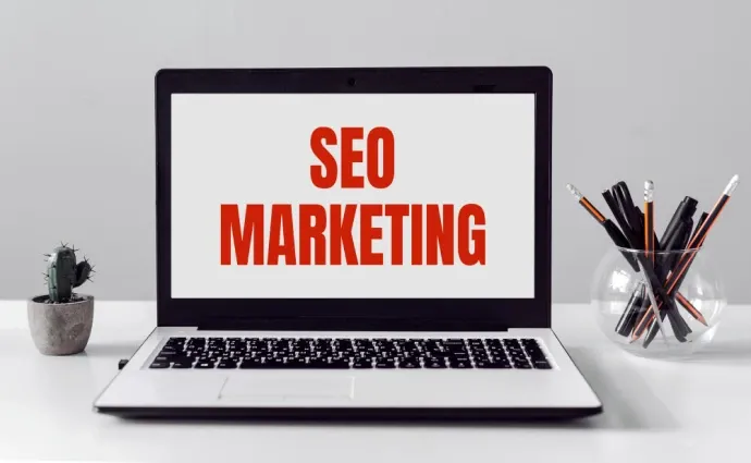 SEO & Marketing
dockdino
