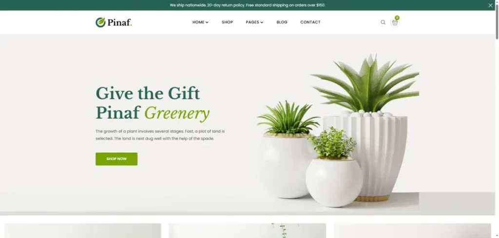 Webflow Ecommerce template